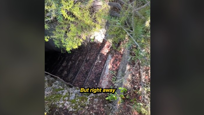 Seorang TikToker menemukan sebuah tangga misterius di tengah hutan. Tangga itu menuju bawah tanah, menyingkap hal aneh di dalamnya.