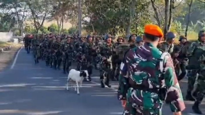 Tangkapan layar video viral kambing nimbrung latihan tentara di Bandung.