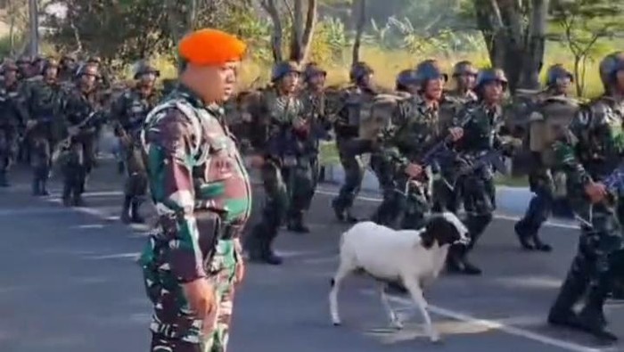 Tangkapan layar video viral kambing nimbrung latihan tentara di Bandung.