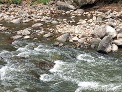 Berbagai Hasil Foto Tecno Spark 30C