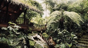 Kampung Daun, Oase nan Hijau di Bandung