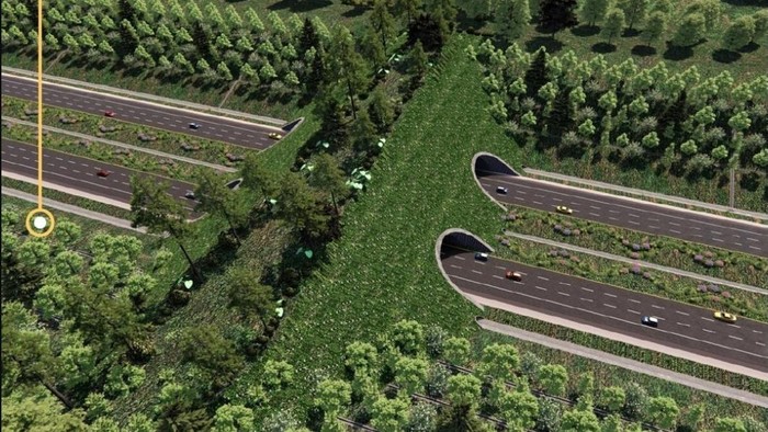 Unik! Bakal Ada Jembatan Khusus Satwa di IKN