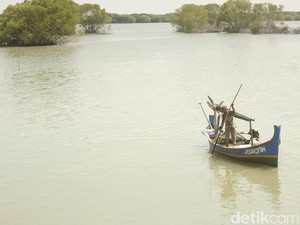 Bupati-DPRD Jabar Soroti Pencatutan Nama Warga untuk SHM di Laut Subang