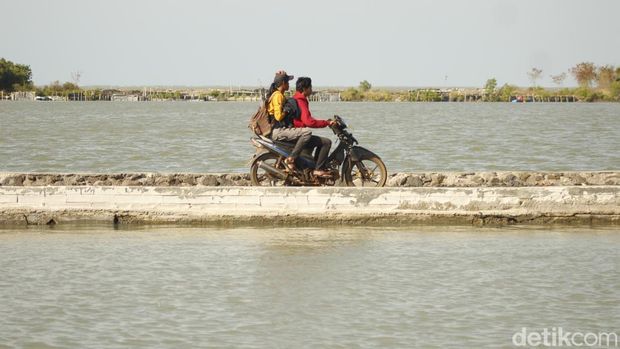 Aktivitas warga Mayangan, Subang di tengah ancaman abrasi dari Laut Jawa
