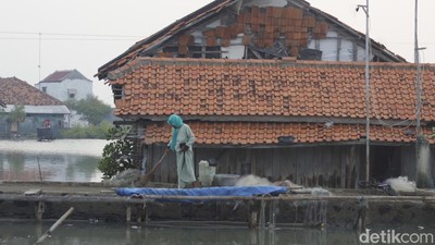 Aktivitas Warga di Desa Mayangan yang Ditelan Laut Jawa
