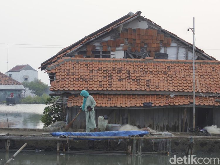 Aktivitas Warga di Desa Mayangan yang Ditelan Laut Jawa