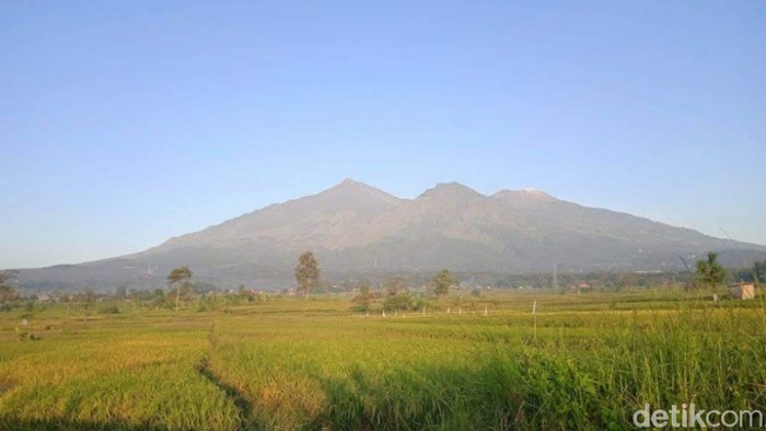 Gunung Arjuno-Welirang
