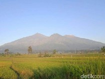 Pengumuman! Pendakian Gunung Arjuno-Welirang Tutup Mulai 1 November 2024