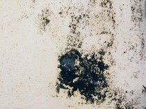 Istri Meninggal karena Sakit, Suami Tewas Diduga Minum Racun