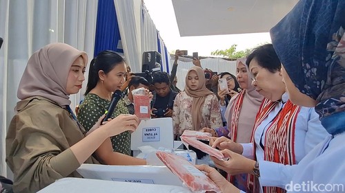 Kementerian Kelautan dan Perikanan (KKP) dan Pemerintah Provinsi (Pemprov) NTB melepas 217 ton tuna dan lobster beku senilai Rp 26 miliar ke Amerika Serikat dan Taiwan, Sabtu (26/10/2024)