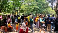Kebun binatang yang berada di jantung kota Surabaya ini, ramai dikunjungi wisatawan pada Sabtu (26/10/2024).