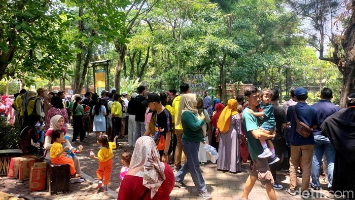 Pengunjung Kebun Binatang Surabaya
