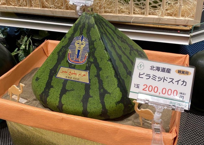 semangka jepang berbentuk piramida