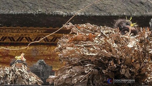 Tari Barong Brutuk di Desa Trunyan, Kecamatan Kintamani, Bangli, Bali. (Dok. Instagram @diskominfosanbangli)