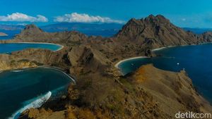 Terbius Eksotisme Pulau Padar, Paket Lengkap Trekking-Healing