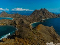 TN Komodo Cuan Rp 100 Miliar, Semua Disetor ke Pusat, Pemda Tak Dapat Bagian