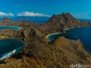 TN Komodo Cuan Rp 100 Miliar, Semua Disetor ke Pusat, Pemda Tak Dapat Bagian