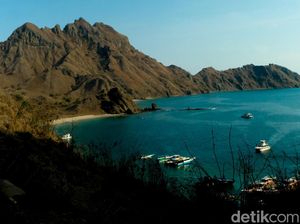 Asita Dukung Kurasi Travel Agent TN Komodo untuk Cegah Agen Liar