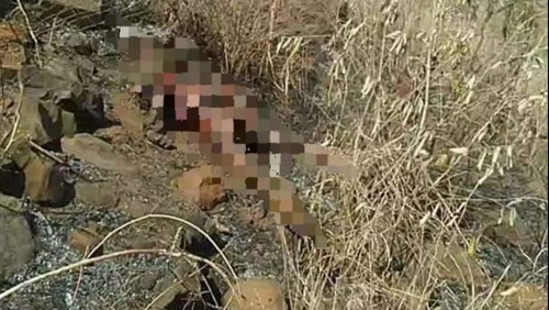 Warga Desa Mertak, Kecamatan Pujut, Lombok Tengah, NTB, Minakum (66), tewas terpanggang di lahan jagung miliknya. (Istimewa)