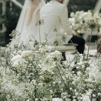 Senada dengan busana pengantin yang dikenakan, dekorasi pernikahan Mitzi juga terlihat elegan dengan nuansa warna putih. Bunga jenis baby breath putih dipadukan dengan mawar putih. Foto: Instagram/@sinisukanthony