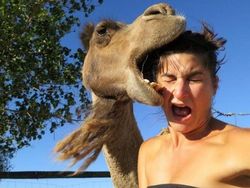 Bukannya Keren, Deretan Foto Selfie Ini Malah Terlihat Kocak