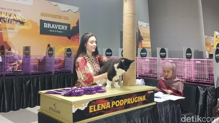 Meriahnya CFA Cat Show di Surabaya.