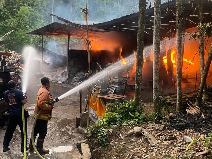 Petugas damkar berjibaku memadamkan api yang melalap gudang produsen tedung atau payung khas Bali di Banjar Pangkung Jelati, Desa Yeh Sumbul, Kecamatan Mendoyo, Jembrana, Minggu (27/10/2024). (Foto: Istimewa)