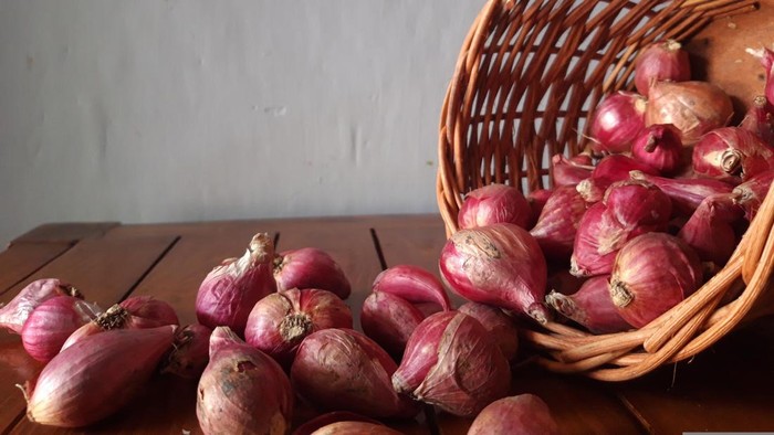 Bawang merah