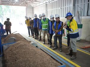 PTBA Kembangkan Biomassa dari Tanaman Kaliandra Merah buat Bahan Bakar PLTU