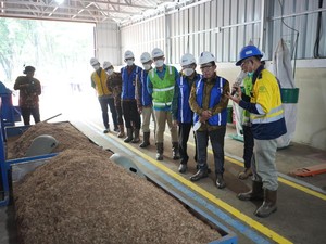 PTBA Kembangkan Biomassa dari Tanaman Kaliandra Merah buat Bahan Bakar PLTU