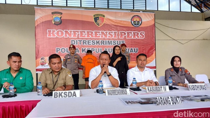 Ditreskrimsus Polda Kepri gagalkan upaya penyelundupan kura-kura darat jenis bening coklat. (Foto: Alamudin/detikSumut).