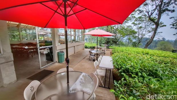 Kafe di Tengah Perkebunan Teh Gambung