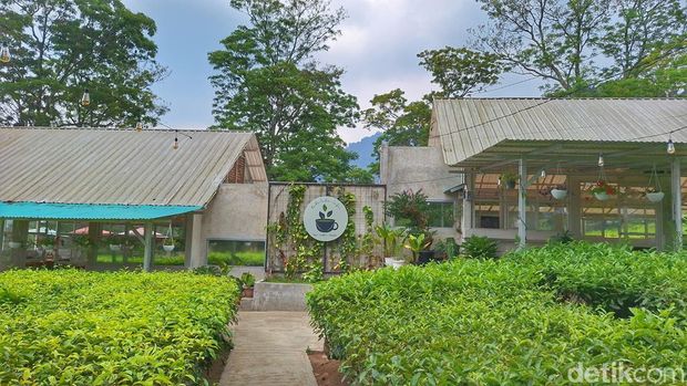 Kafe di Tengah Perkebunan Teh Gambung