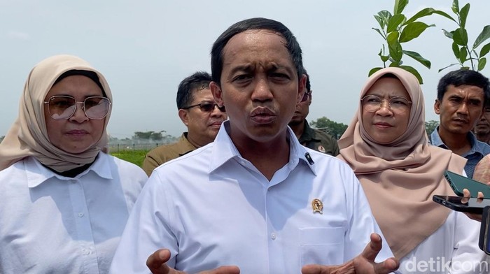 Menteri Kehutanan (Menhut) Raja Juli Antoni menyebut pusat persemaian berskala besar di Sumatera Selatan (Sumsel) masih berproses. (Rumondang N/detikcom)