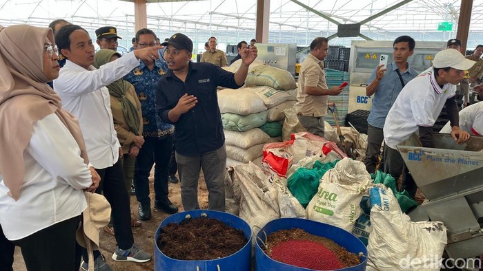 Menteri Kehutanan Raja Juli Antoni. (Rumondang/detikcom)