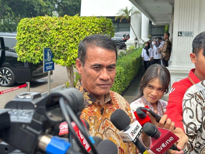 Menteri Pertanian Andi Amran Sulaiman (Isal/detikcom)