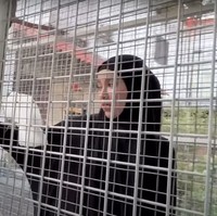 Potret Miskah saat dimasukkan ke dalam kandang oleh Fadil. Miskah sendiri tampak berani dan memegang burung kesayangan Fadil tersebut. Foto: YouTube/Fadil Jaidi