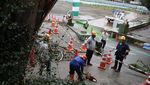 Pecinta Lingkungan Tokyo Gelar Aksi di Taman Jingu Gaien