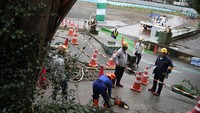 Penebangan pohon ini dimulai pada Senin di distrik taman Jingu Gaien di pusat kota Tokyo oleh pengembang properti Mitsui Fudosan.