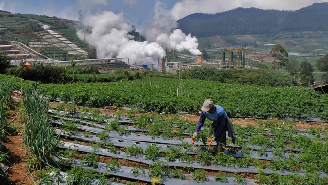 Penampakan PLTP Berdampingan dengan Kebun Wortel di Banjarnegara
