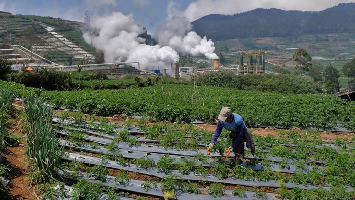 Penampakan PLTP Berdampingan dengan Kebun Wortel di Banjarnegara Pekerja beraktivitas di areal instalasi sumur geothermal atau panas bumi untuk Pembangkit Tenaga Listrik Panas Bumi (PLTP) PT Geo Dipa Energi di kawasan dataran tinggi Dieng Desa Kepakisan, Batur, Banjarnegara, Jawa Tengah, Senin (28/7/2024). Kementerian Energi dan Sumber Daya Mineral (ESDM) mendorong berbagai upaya untuk mengoptimalisasi pemanfaatan tenaga panas bumi bagi kelistrikan dengan mengembangkan proyek PLTP karena ramah lingkungan, terbarukan dan berkelanjutan. ANTARA FOTO/Anis Efizudin/foc.