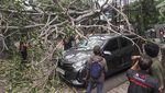 Pohon Tumbang Akibat Angin Kencang Timpa Mobil di Lebak Bulus Jaksel