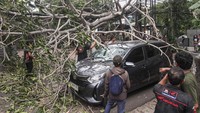 Kejadian yang dipicu oleh angin kencang melanda kawasan tersebut.  