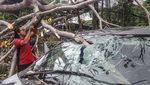 Pohon Tumbang Akibat Angin Kencang Timpa Mobil di Lebak Bulus Jaksel