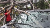 Seorang warga memindahkan batang pohon yang tumbang menimpa salah satu mobil di Jalan Lebak Bulus I, Jakarta, Senin (28/10/2024).  