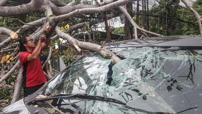 Sejumlah warga berupaya memindahkan batang pohon yang tumbang menimpa salah satu mobil di Jalan Lebak Bulus I, Jakarta, Senin (28/10/2024). Kejadian yang dipicu oleh angin kencang melanda kawasan tersebut mengakibatkan sejumlah pengendara kendaraan bermotor terluka karena tertimpa batang pohon tumbang. ANTARA FOTO/Zaky Fahreziansyah/app/foc.