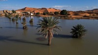 Fenomena langka yang terjadi di Gurun Sahara adalah dampak nyata dari perubahan iklim yang membuat cuaca di Bumi semakin tak menentu.  