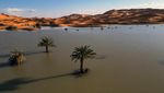 Potret Gurun Sahara Terendam Banjir Langka