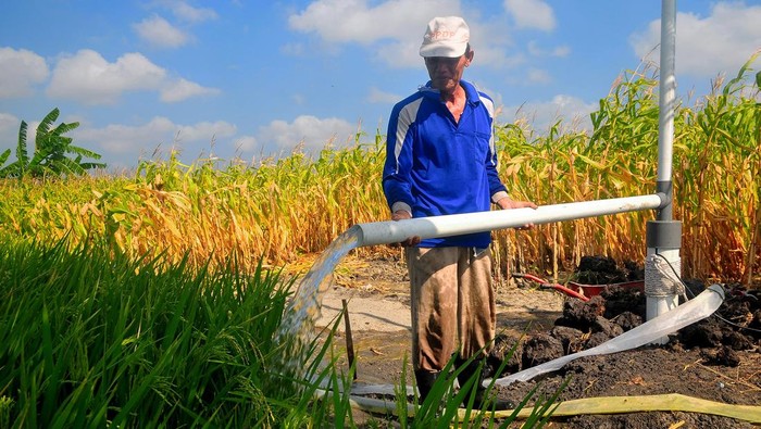 Petani mengairi lahan sawah dengan air dari pompa sumur submersibel di kawasan Dukuh Karangpung, Kismoyoso, Ngemplak, Boyolali, Jawa Tengah, Minggu (27/10/2024). Petani di wilayah itu mulai beralih menggunakan energi listrik untuk mesin pompa sumur submersibel dalam mengaliri lahan sawah tadah hujan karena dinilai lebih efektif dan efisien bila dibandingkan menggunakan mesin bahan bakar minyak (BBM) sehingga dapat meningkatkan produktivitas pertanian. ANTARA FOTO/Yusuf Nugroho/agr