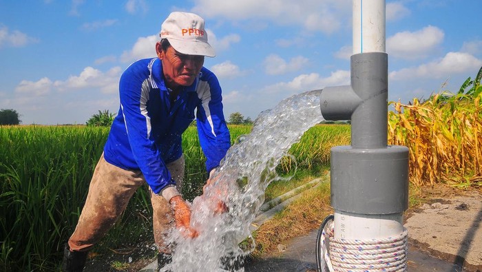 Petani mengairi lahan sawah dengan air dari pompa sumur submersibel di kawasan Dukuh Karangpung, Kismoyoso, Ngemplak, Boyolali, Jawa Tengah, Minggu (27/10/2024). Petani di wilayah itu mulai beralih menggunakan energi listrik untuk mesin pompa sumur submersibel dalam mengaliri lahan sawah tadah hujan karena dinilai lebih efektif dan efisien bila dibandingkan menggunakan mesin bahan bakar minyak (BBM) sehingga dapat meningkatkan produktivitas pertanian. ANTARA FOTO/Yusuf Nugroho/agr